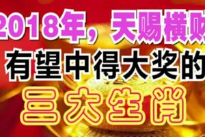 2018狗年，事業高升，金錢只進不出的三大生肖