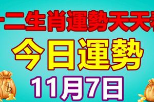 十二生肖運勢天天看，今日運勢：11月7日