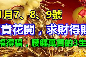 11月7、8、9號富貴花開，求財得財，求福得福，腰纏萬貫的生肖