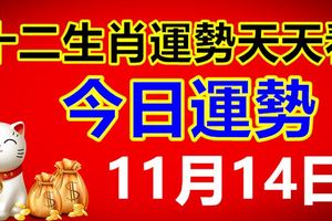 十二生肖運勢天天看，今日運勢：11月14日