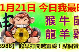 11月21日，今日我最旺！猴牛鼠龍羊雞！【88988】越早打開越靈驗！點個贊吧！