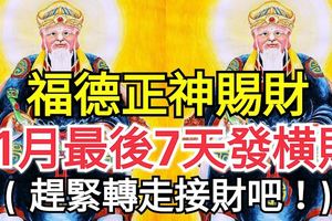 福德正神賜財！11月最後7天等著發橫財的生肖！趕緊轉走接財吧！