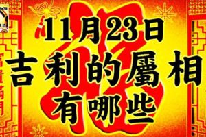 11月23日週四吉利的屬相有哪些？