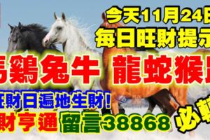 今天11月24日,每日旺財提示：馬雞兔牛，龍蛇猴鼠。旺財日遍地生財！錢財亨通留言38868必轉！