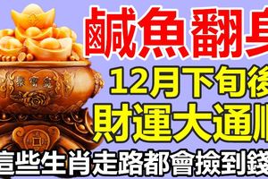 鹹魚翻身！12月中旬後，財運大通順，走路都會撿到錢的生肖【88秒內轉發分享2018走好運！】