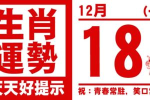 生肖運勢，天天好提示（12月18日）