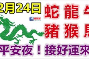 12月24日生肖運勢_蛇、龍、牛大吉