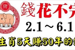 從1月2日到6日，3大生肖連發5天，5天賺50年花不完的錢！