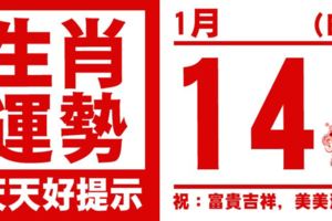 生肖運勢，天天好提示（1月14日）