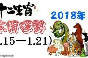 十二生肖本周運勢2018年(1.15—1.21)