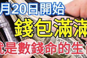 1月20日開始，這3大生肖財氣高漲，賺得錢包滿滿，就是數錢的命！