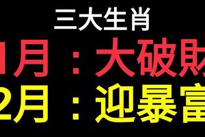 1月大破財，2月迎暴富的3大生肖！