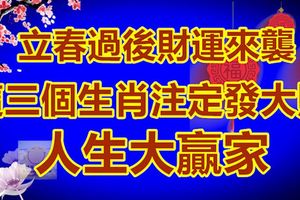 立春過後財運來襲，這三個生肖今年註定發大財，人生大贏家