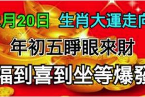 2月20日生肖大運走向，年初五睜眼來財，福到喜到坐等爆發！