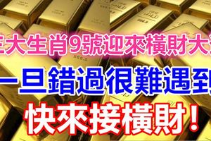 三大生肖9號迎來橫財大運，一旦錯過很難遇到，快來接橫財啦！