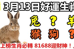 3月13日好運生肖，五福臨門接好運！【兔+？+羊+猴+狗+？】『上榜生肖必轉81688迎財神！』