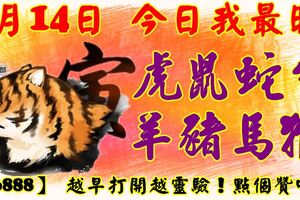 3月14日，今日我最旺！虎鼠蛇牛羊豬馬猴！【66888】越早打開越靈驗！點個贊吧！