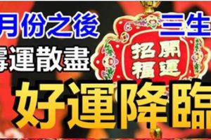 4月份之後，黴運散盡，好運降臨的生肖&十二生肖穿對顏色鞋子，財運會一路旺到底~