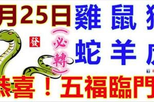 3月25日生肖運勢_雞、鼠、猴大吉