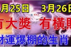 3月25日有大獎，3月26日有橫財！大運連連，財運爆棚的生肖！