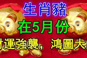 生肖豬在5月份，財運強襲，鴻圖大展