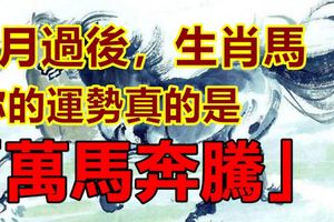 7月過後，生肖馬：你的運勢真的是「萬馬奔騰」