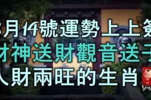 8月14號開始，運勢上上簽，財神送財，觀音送子，人財兩旺的生肖！