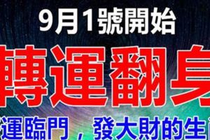 9月1號開始，轉運翻身，好運臨門，發大財的生肖