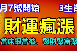 9月7號開始，3生肖財運瘋漲，金當床銀當被，聚財聚富聚福