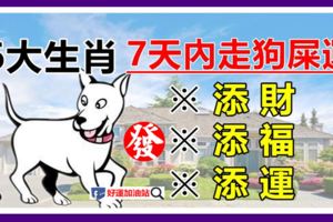 7天內走狗屎運，有添財、添福、添運之喜的6大生肖