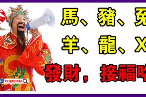 6大生肖財神點名，發財，接福咯！