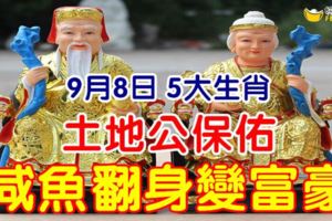 9月8日，土地公保佑，鹹魚翻身變富豪的5生肖