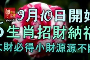 9月10日開始，5生肖招財納福，日進斗金，大財必得，小財源源不斷！