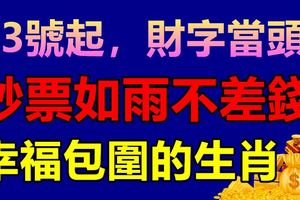 23號起，財字當頭，鈔票如雨不差錢，幸福包圍的生肖