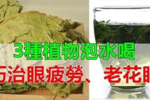 用這3種植物泡水喝，可緩解眼部疲勞。每週吃一次可防治眼睛近視、老花眼、眼睛疲勞，對肝腎不足引起的頭昏多淚也有效。