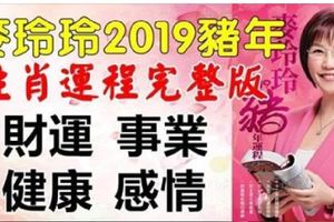 麥玲玲2019豬年十二生肖運程完整版