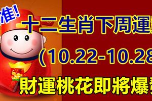 超准十二生肖下周運勢（10.22-10.28），財運桃花即將爆發