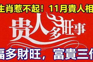 3生肖惹不起！11月貴人相助，福多財旺，富貴三代