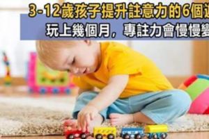 專注力影響孩子一生！美國育兒專家：適合3-12歲孩子的6個遊戲，每天5分鐘，讓孩子學習成績更優秀！