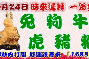 10月24日時來運轉一路發，兔狗牛虎豬猴，88秒內打開，好運跟著來『16888』