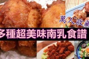 （一次性全部給你知）多種南乳食譜！