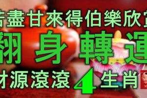 終於苦盡甘來，將得伯樂欣賞，翻身轉運，財源滾滾的4大生肖！