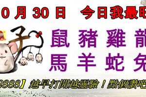 10月30日，今日我最旺！鼠豬雞龍馬羊蛇兔！【52888】越早打開越靈驗！點個讚吧！