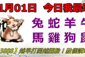 11月01日，今日我最旺！兔蛇羊牛馬雞狗鼠！【13888】越早打開越靈驗！點個讚吧！