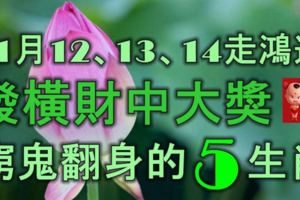 11月12、13、14號走鴻運，發橫財中大獎，窮鬼翻身的5大生肖！