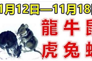 12生肖一周運勢（11月12日—11月18日）