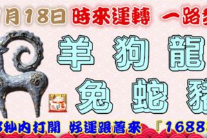 11月18日時來運轉一路發，羊狗龍兔蛇豬，88秒內打開，好運跟著來『16888』