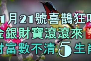 11月21號喜鵲瘋狂叫，金銀財寶滾滾來，財富數不清的5大生肖！