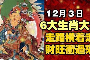 12月3日，6大生肖大發，財旺衝過來