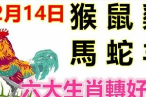 12月14日生肖運勢_猴、鼠、雞大吉